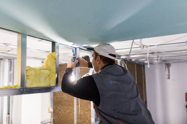 Best Insulation Materials and Products in Cecilia, LA
