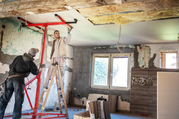 Best Specialty Insulation in Cecilia, LA